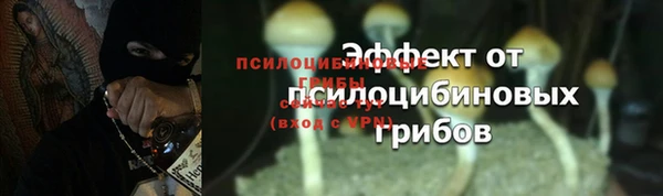 MESCALINE Елабуга